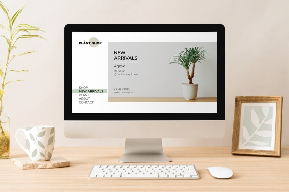Website Design Venice Fl