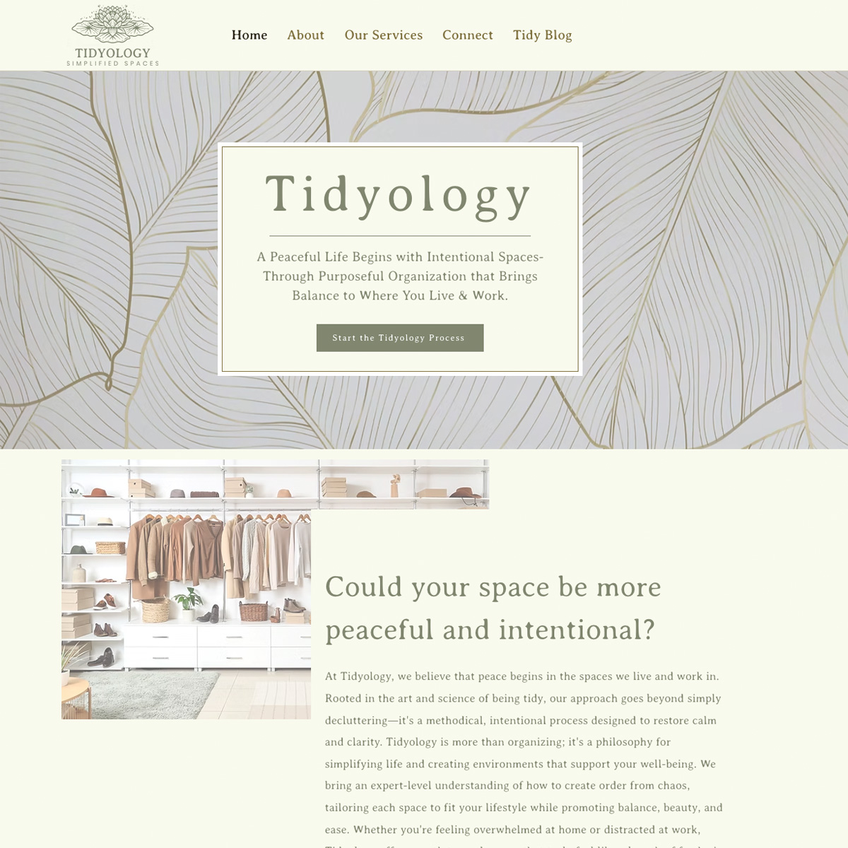 tidyology-screenshot